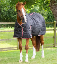 Premier Equine Stalldecke für Pferde aus Polyester in Schwarz 152 cm - 100 g – Bild 1 von 4