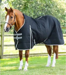 Premier Equine Stalldecke für Pferde aus Polyester in Schwarz 168 cm - 100 g – Bild 1 von 5