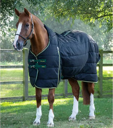 Premier Equine Stalldecke für Pferde aus Polyester in Schwarz 191 cm - 450 g – Bild 1 von 4