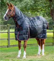 Premier Equine Stalldecke für Pferde aus Polyester in Schwarz 400 g - 400 g – Bild 1 von 4
