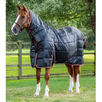 Produktbild von Premier Equine Stalldecke für Pferde aus Polyester in Schwarz - 400 g