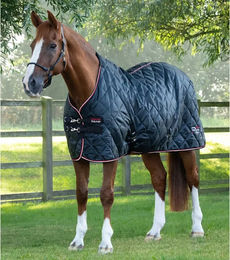 Produktbild von Premier Equine Stalldecke für Pferde aus Polyester in Schwarz
