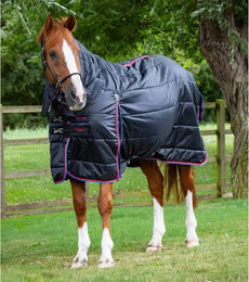 Premier Equine Stalldecke für Pferde mit Halsteil aus Polyester in Schwarz – Bild 1 von 3