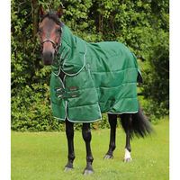 Produktbild von Premier Equine Stalldecke für Pferde mit Halswärmer aus Polyester in Grün