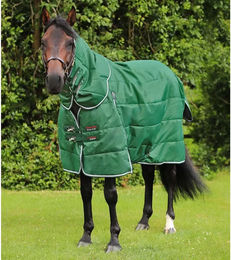 Produktbild von Premier Equine Stalldecke für Pferde mit Halswärmer in Grün aus Polyester