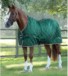 Premier Equine Stalldecke für Pferde Tuscan Grün aus Polyester - 100 g – Bild 1 von 3