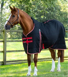 Produktbild von Premier Equine Stalldecke Lucanta aus Polyester in Schwarz 200 g