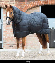 Premier Equine Stalldecke mit Halsteil in Schwarz - 200 g – Bild 1 von 1