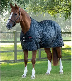 Premier Equine Stalldecke Tuscan für Pferde 200 g – Bild 1 von 1