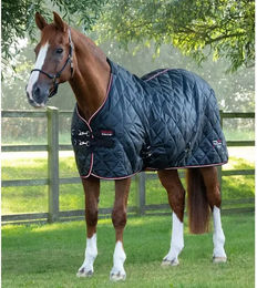 Premier Equine Stalldecke Tuscan für Pferde Schwarz 168 cm - 100 g – Bild 1 von 3