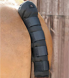 Premier Equine Stay-Up Schwanzschützer für Pferde aus Baumwolle Schwarz – Bild 1 von 4