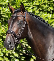 Premier Equine Stellazzio Anatomisch geformte Trense mit kombiniertem Reithalfter aus Leder in Braun – Bild 1 von 5