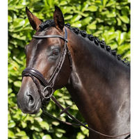 Produktbild von Premier Equine Stellazzio Anatomisch geformte Trense mit kombiniertem Reithalfter aus Leder in Braun