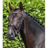 Produktbild von Premier Equine Stellazzio Anatomisch geformte Trense mit kombiniertem Reithalfter aus Leder in Schwarz Größe XFull