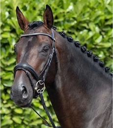 Produktbild von Premier Equine Stellazzio Anatomische Leder Trense mit kombiniertem Reithalfter in Schwarz