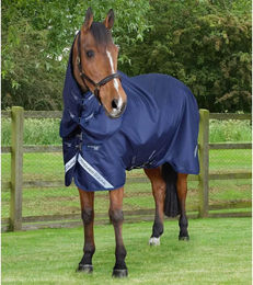 Produktbild von Premier Equine Stratus 600D Series Außendecke für Pferde in Blau