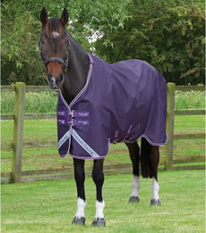 Produktbild von Premier Equine Stratus 600D Series Outdoor-Pferdedecke aus Polyester in Lila