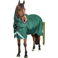 Produktbild von Premier Equine Stratus 600D Series Outdoor-Pferdedecke mit Halsabdeckung in Grün