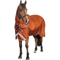 Produktbild von Premier Equine Stratus 600D Series Outdoor-Pferdedecke mit Halsabdeckung Orange 152 cm