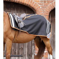 Produktbild von Premier Equine Stratus Nierendecke für Pferde Schwarz Größe L