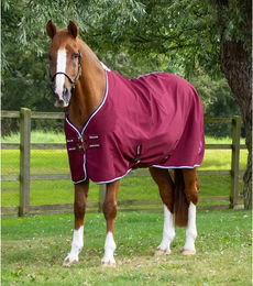 Produktbild von Premier Equine Stratus Stalldecke für Pferde in Rot aus Polyester