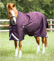 Produktbild von Premier Equine Titan Outdoor-Decke aus Nylon in Lila