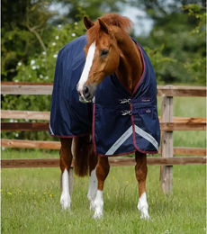Produktbild von Premier Equine Titan Outdoor-Decke für Pferde aus Nylon in Blau