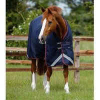 Produktbild von Premier Equine Titan Outdoor-Decke für Pferde aus Nylon in Blau