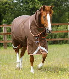 Premier Equine Titan Outdoor-Decke für Pferde mit Halsteil in Orange und Braun aus Nylon – Bild 1 von 1
