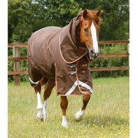 Produktbild von Premier Equine Titan Outdoor-Decke für Pferde mit Halsteil in Orange und Braun aus Nylon