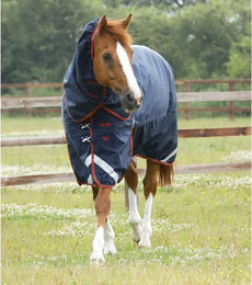 Premier Equine Titan Outdoor-Decke für Pferde mit Nackenrolle aus Nylon 175 cm – Bild 1 von 6