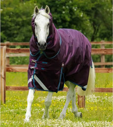 Produktbild von Premier Equine Titan Outdoor-Decke mit Halsteil aus Nylon in Lila