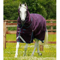 Produktbild von Premier Equine Titan Outdoor-Decke mit Halsteil aus Nylon in Lila