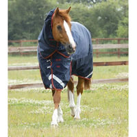 Produktbild von Premier Equine Titan Outdoor-Decke mit Halsteil in Blau aus Nylon