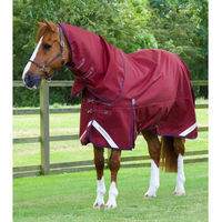 Produktbild von Premier Equine Titan Outdoor-Pferdedecke mit Halsteil aus Nylon in Rot - 50 g