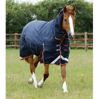 Produktbild von Premier Equine Titan Storm Outdoor-Decke für Pferde mit Halsteil in Blau