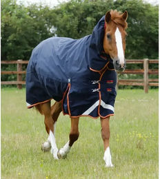 Premier Equine Titan Storm Outdoor-Decke für Pferde mit Nackenrolle Blau 198 cm – Bild 1 von 5