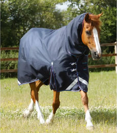 Premier Equine Titan Storm Outdoor-Pferdedecke mit Nackenrolle in Blau 160 cm – Bild 1 von 6