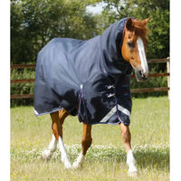 Produktbild von Premier Equine Titan Storm Outdoor-Pferdedecke mit Nackenrolle in Blau 160 cm