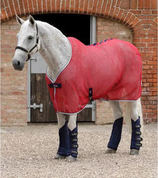 Premier Equine Travel-Tech Transportgamaschen für Pferde aus Polyester Blau Größe L – Bild 1 von 5