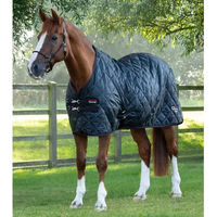 Produktbild von Premier Equine Tuscan Stalldecke für Pferde 200 g