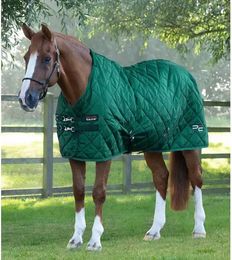 Premier Equine Tuscan Stalldecke für Pferde in Grün - 200 g – Bild 1 von 3