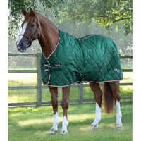 Produktbild von Premier Equine Tuscan Stalldecke für Pferde aus Polyester in Grün 175 cm - 100 g