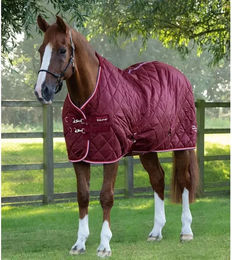 Produktbild von Premier Equine Tuscan Stalldecke für Pferde in Rot aus Polyester - 100 g
