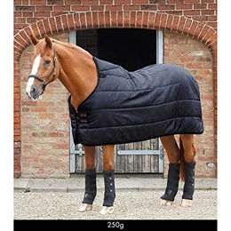 Premier Equine Unterdecke für Pferde Schwarz - 250 g – Bild 1 von 3