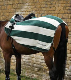 Produktbild von Premier Equine Vellus Nierendecke für Pferde aus Fleece in Grün oder Bunt Größe M
