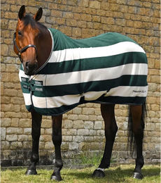 Produktbild von Premier Equine Vellus Trocknende Fleecedecke für Pferde in Grün oder Bunt