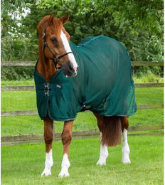 Premier Equine Ventoso Abschwitzdecke für Pferde Grün 160cm – Bild 1 von 4