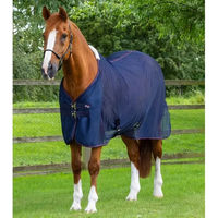 Produktbild von Premier Equine Ventoso Abschwitzdecke für Pferde in Blau