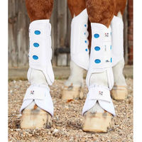 Produktbild von Premier Equine Vorderbeingamaschen Air Cooled Original Eventing für Pferde aus Neopren Weiß XS